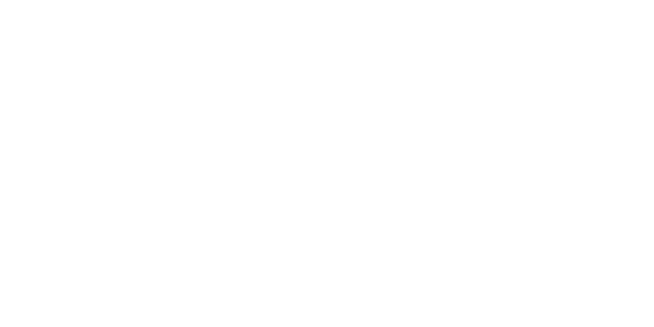 mktwise_logo_boaretto