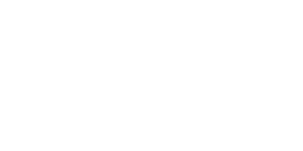 mktwise_logo_granado