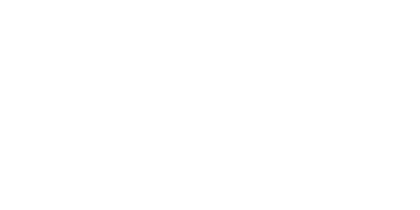 mktwise_logo_pneustore